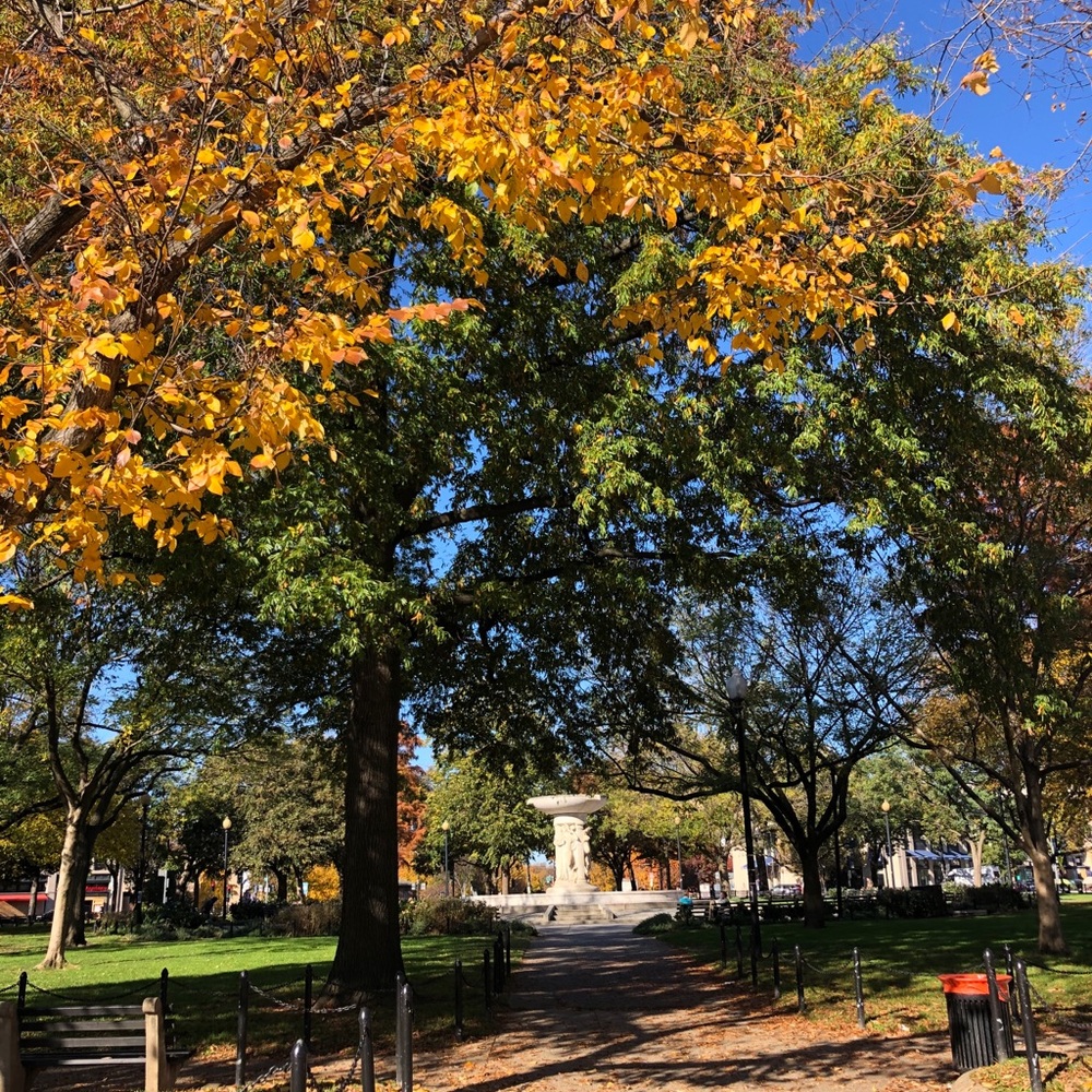 Meet your Posher, Erika